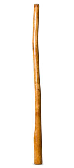 Gloss Finish Didgeridoo (TW1066)
